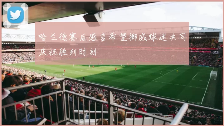 哈兰德赛后感言希望挪威球迷共同庆祝胜利时刻