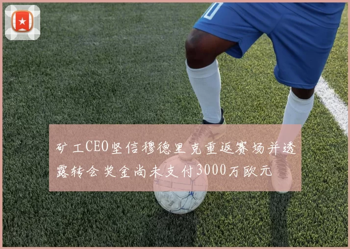 矿工CEO坚信穆德里克重返赛场并透露转会奖金尚未支付3000万欧元